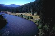 Campsite on the river.